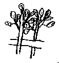 Bilde: Hytte1c.gif
